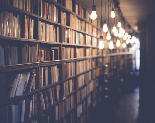 Étagère remplie de livres