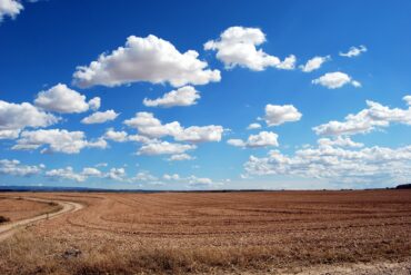 Un grand champ avec une route de campagne sur la gauche et un ciel bleu avec des nuages à perte de vue.